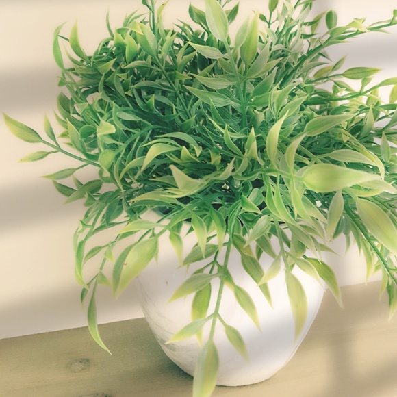 ∵∵♡ Welcome to our closet! ♡∵∵ - Picture 2 of 2